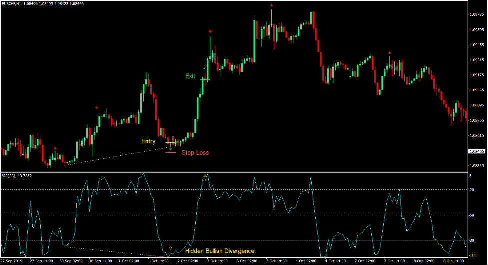 Williams Percentage Range Divergence Forex Trading Strategy