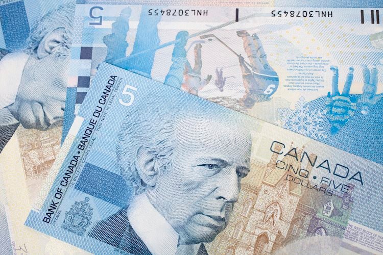 USD/CAD struggles to cheer Oil price slump near 1.3600 as US Dollar retreats ahead of top-tier catalysts