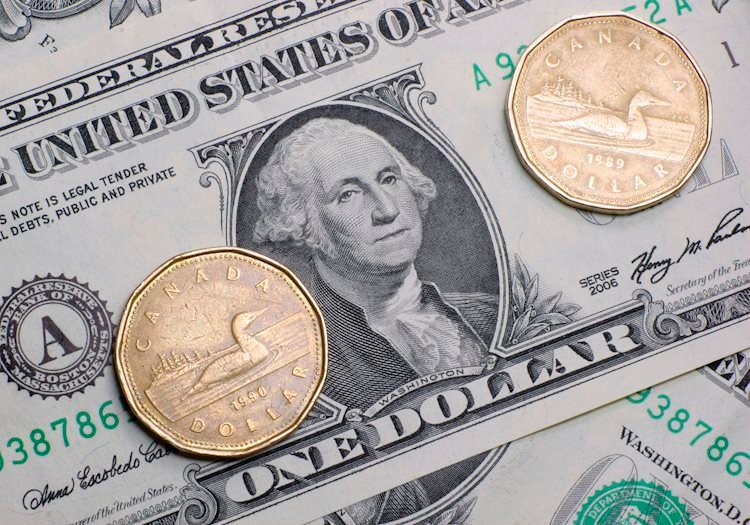 USD/CAD remains subdued near 1.3450 as traders expect more Fed rate cuts in this year