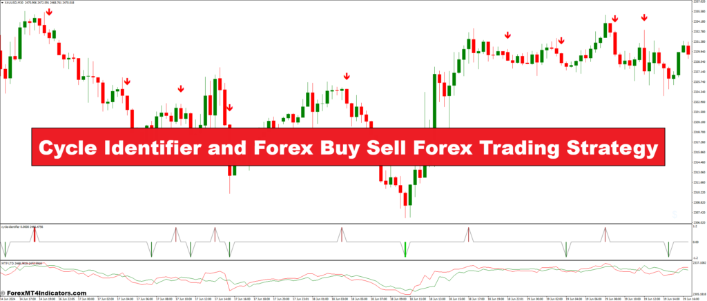 Cycle Identifier and Forex Buy Sell Forex Trading Strategy