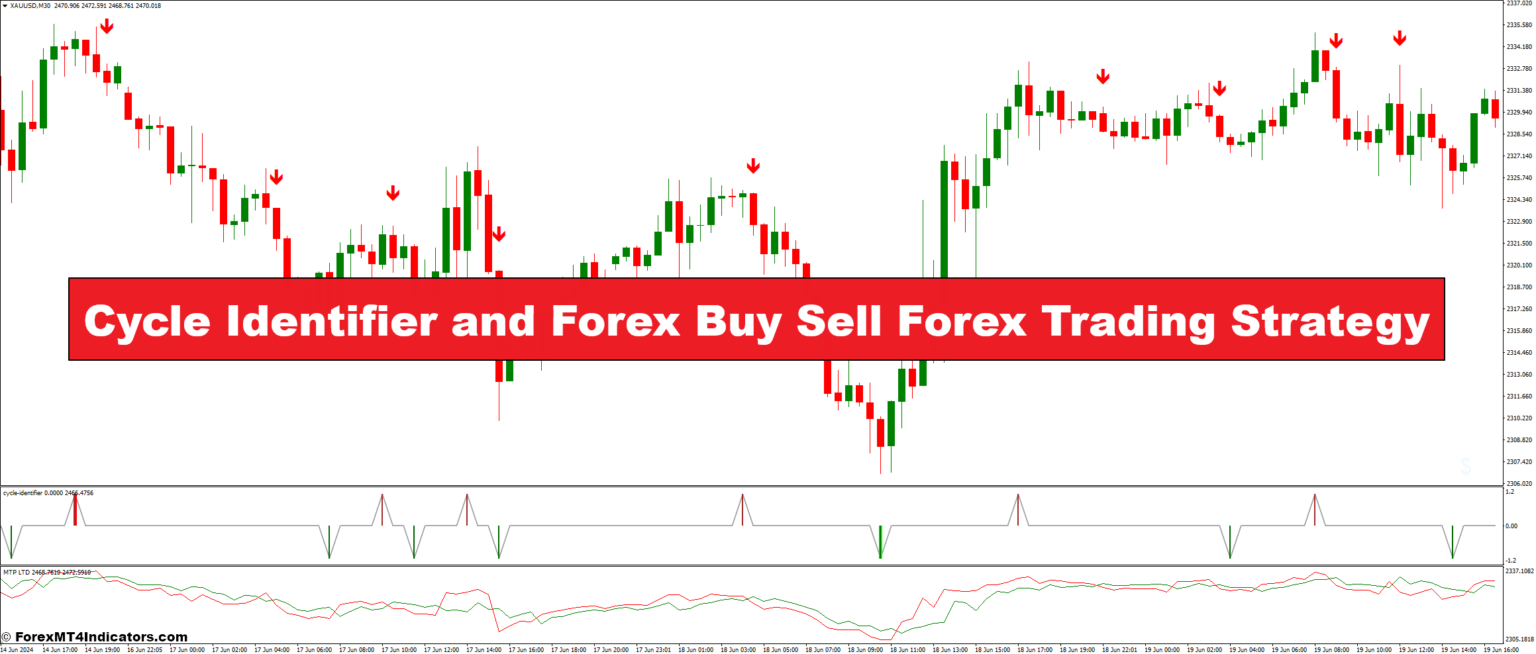 Cycle Identifier and Forex Buy Sell Forex Trading Strategy