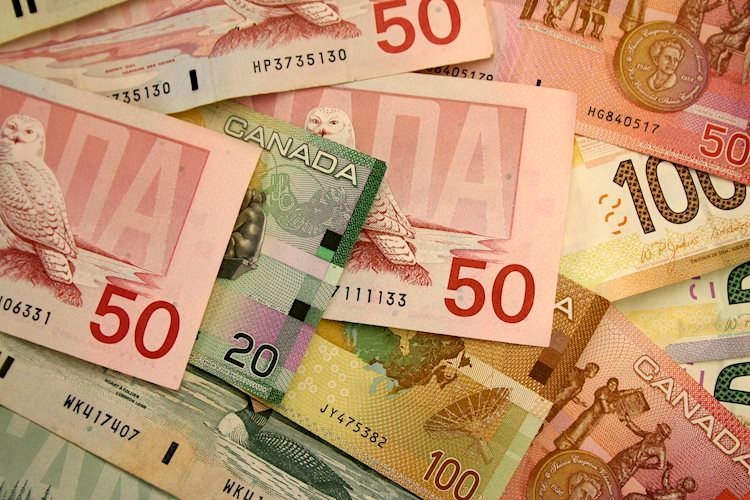 USD/CAD to reach the 1.42 in mid-term – Rabobank