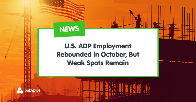 U.S. ADP Employment Rebounded in October, But Weak Spots Remain
