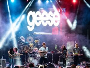 Fake campaigns are being used to boost bands, why not stocks too?