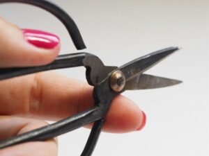 Former Fed Chair Yellen sees one Fed cut possible as Iran-driven inflation clouds outlook.