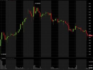SpaceX shares are down 10% as Elon Musk taps the bond market