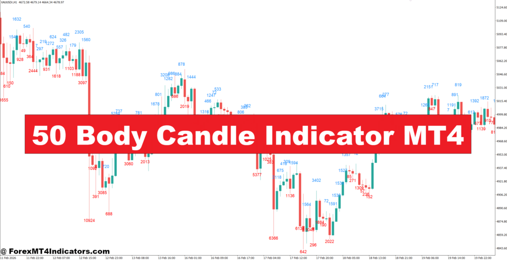 50 Body Candle Indicator MT4